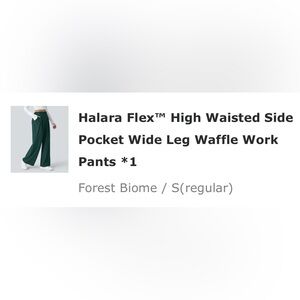 HALARA Wide Leg Pants - Green NWT